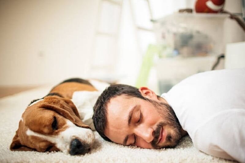 Man Sleeping on the floor with his dog